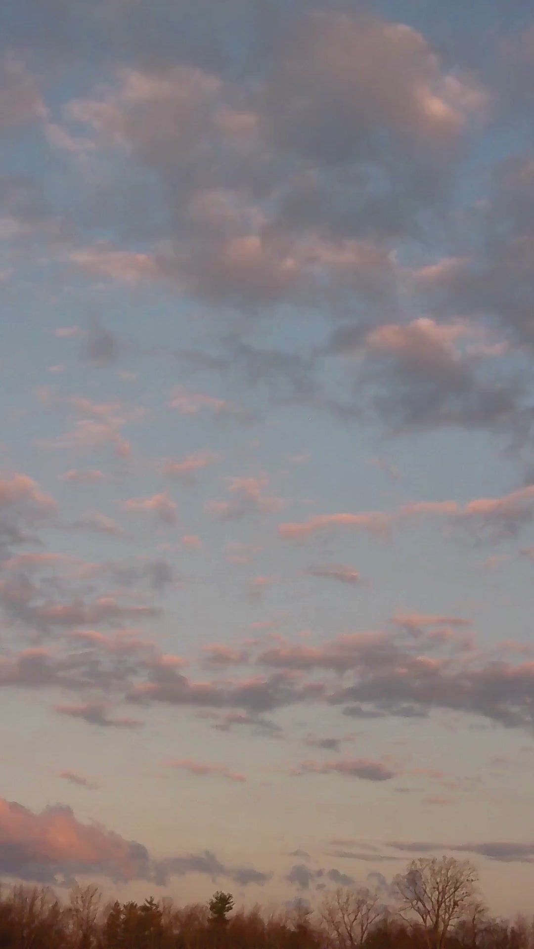 Kantha Quilt Set - Bird of Paradise